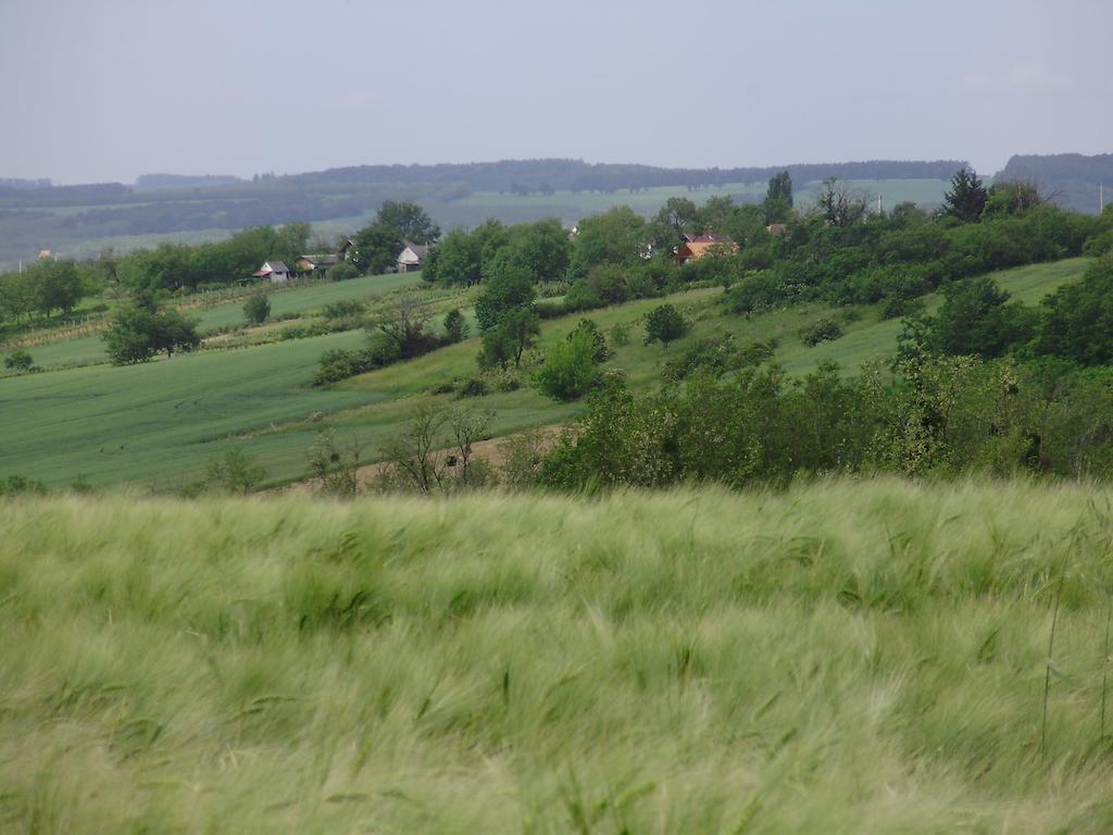 Nyugalomsziget Nyaralóház Vila Zalaszentlászló Exterior foto